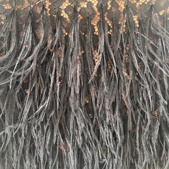 Michael Kors Feather Embellished Corded Lace Dress Size XXS - Picture 9 of 11